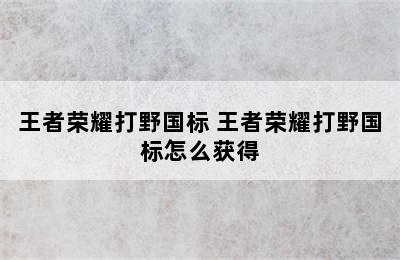 王者荣耀打野国标 王者荣耀打野国标怎么获得